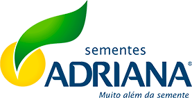 Sementes Adriana