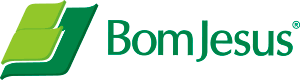 Bom Jesus